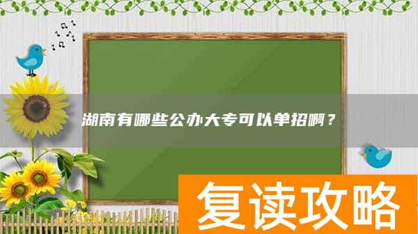 湖南有哪些公办大专可以单招啊？